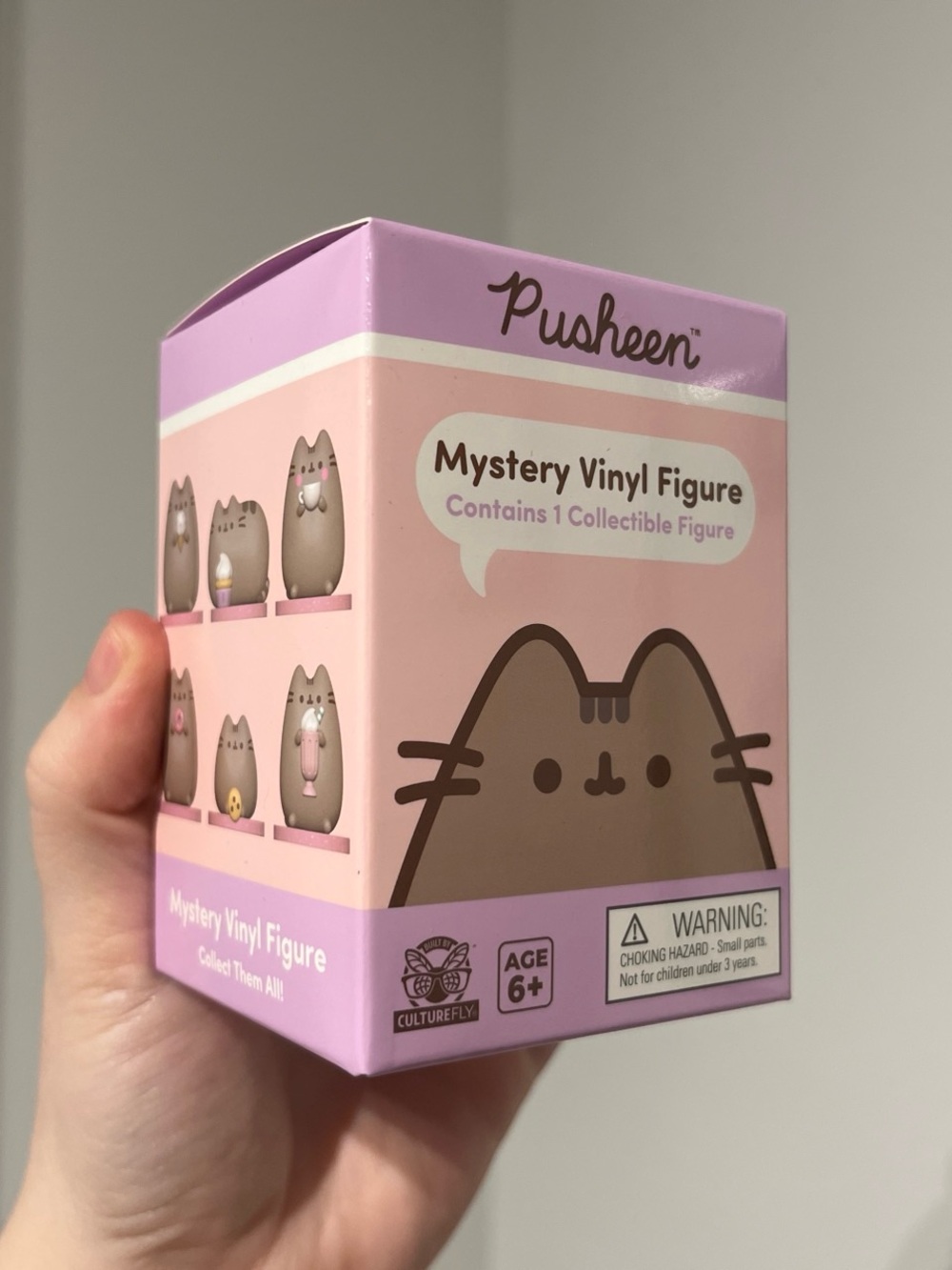 Pusheen Mystery Collectable Blind Box